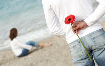 цветок, пляж, любовь, романтика, пара