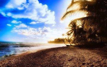 деревья, вода, берег, волны, фото, море, песок, пейзажи, лето, океан, пляжи