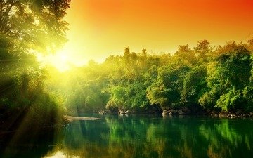 деревья, вода, солнце, отражение, красочно