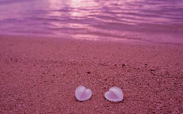 берег, песок, пляж, сердце, ракушки, любовь, розовый