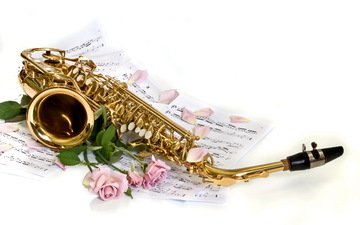 цветы, фон, розы, ноты, лепестки, белый, саксофон