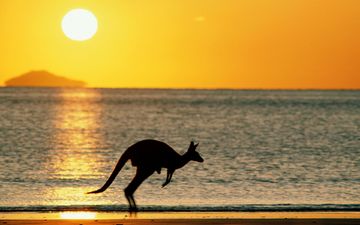 солнце, закат, море, пляж, океан, австралия, кенгуру