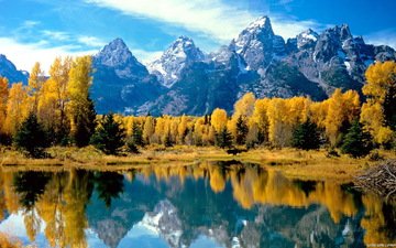 деревья, озеро, горы, отражение, осень, вайоминг, национальный парк