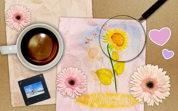 цветы, рисунок, кофе, подсолнух, чашка, лупа, сердечки, герберы