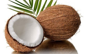 фрукты, белый фон, орех, кокос