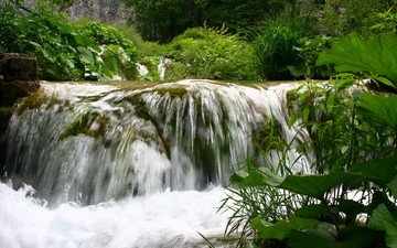 вода, природа, зелень, пейзаж, лето, водопад, небольшой водопад