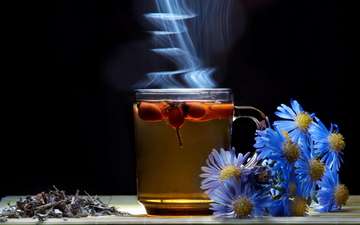 цветы, чай, аромат