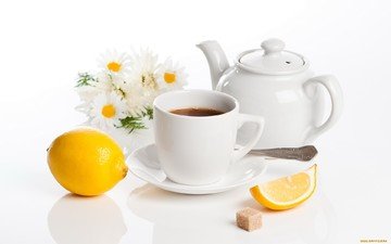 цветы, лимон, ромашки, белый фон, чашка, чай, чайник, сахар, ложка