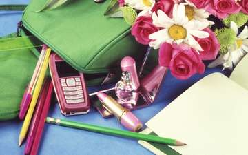 цветы, карандаши, ручки, телефон, портфель, помада, 1 сентября, день знаний