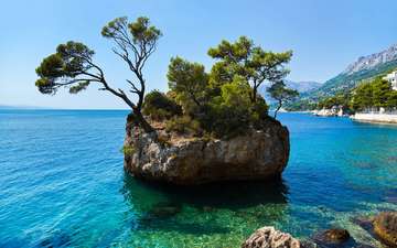 деревья, море, остров, хорватия