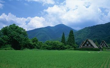 небо, трава, деревья, горы, пейзаж, поле, домики, япония