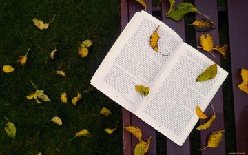 трава, листья, осень, скамейка, листопад, книга