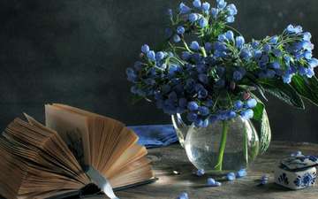 цветы, букет, ваза, голубые, книга, натюрморт, шкатулка, весенние