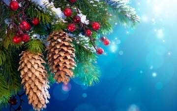 ветка, снег, новый год, елка, хвоя, ягоды, рождество, шишки, новогодняя, обойка, елочки с шишками