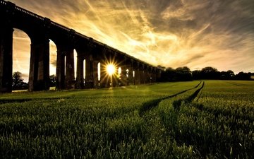 трава, солнце, мост, красиво
