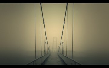 туман, мост, город