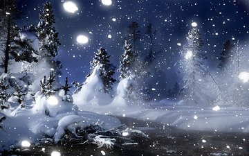 ночь, снег, лес, зима, елочки