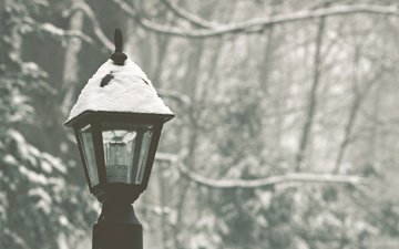 снег, лес, зима, парк, фонарь