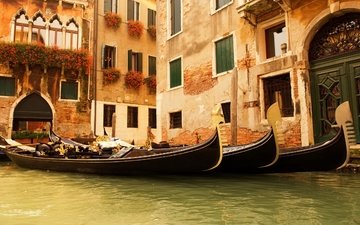 цветы, вода, венеция, дома, италия, окна, гондолы