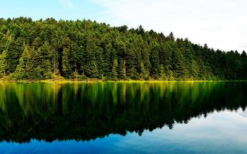 озеро, природа, лес, отражение леса и неба