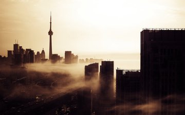 утро, туман, здания