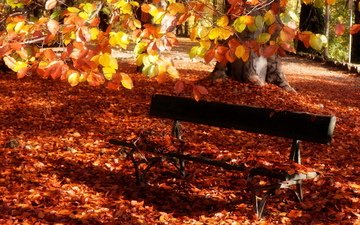 листья, парк, осень, скамейка, скамья