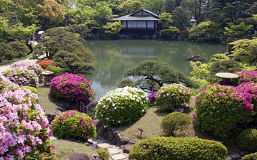 цветы, домик, cvety, yaponskij sad, domik, японский сад
