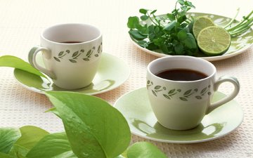 мята, листья, зелёный, лайм, напитки, чай, чашки, травяной