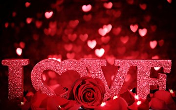 розы, сердца, день святого валентина, cvety, serdce, lyubov, rouz
