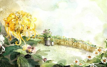 cvety, romashki, zabor, xrizantemy, vedro, рисоунок