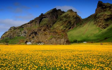 небо, цветы, горы, поле, весна, одуванчики, долина, желтые