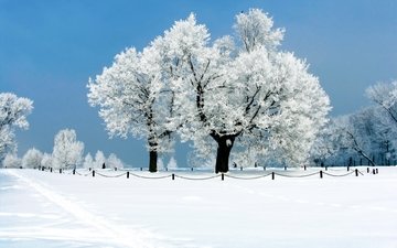 небо, деревья, снег, природа, зима, иней