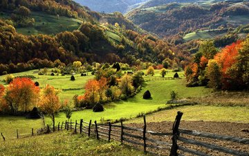 трава, деревья, горы, природа, лес, сено, осень, забор, долина