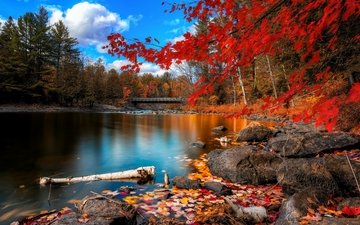 небо, облака, деревья, река, камни, листья, мост, осень