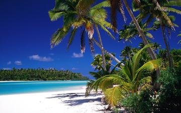 песок, пляж, пальмы, тропики