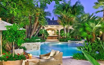 пальмы, бассейн, тропики, фазенда