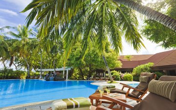 пальмы, бассейн, отдых, тропики