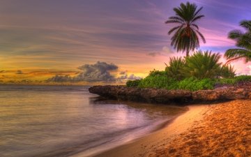 закат, песок, пляж, пальмы, тропики
