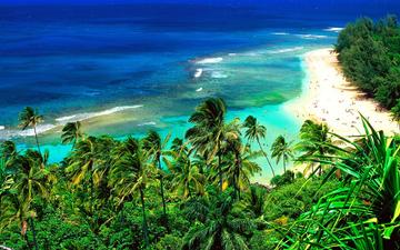 пляж, пальмы, тропики