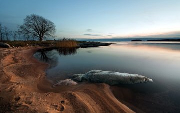 деревья, река, берег, закат, море, песок