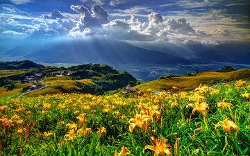 цветы, облака, горы, лучи солнца, склон, лилии, селение