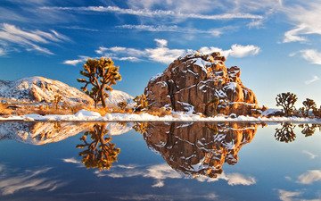 деревья, вода, снег, природа, камни, зима, отражение, сша, калифорния, национальный парк джошуа-три