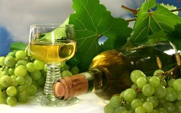 виноград, бокал, вино, бутылка, гроздь, белое вино