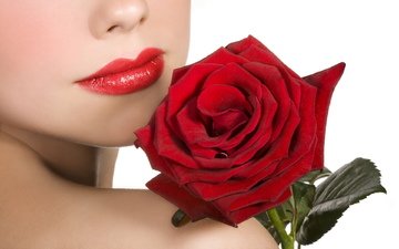 девушка, цветок, роза, красная, модель, губы, лицо, красная помада, бархатная