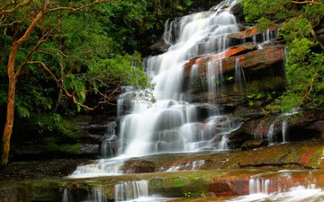 деревья, река, природа, камни, лес, водопад, поток, австралия, новый южный уэльс, национальный парк брисбен вода