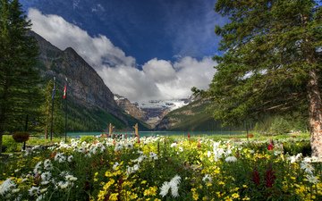 цветы, деревья, озеро, горы, природа, канада, национальный парк банф, озеро луиза