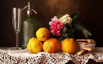 цветы, фрукты, апельсины, бокал, печенье, натюрморт, лимоны, пионы, сифон