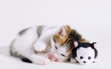 кошка, котенок, лежит, игрушка