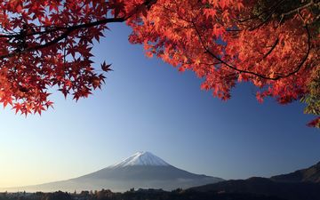 небо, листья, фон, пейзаж, гора, осень, япония, вулкан, клен, фудзияма