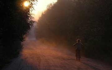 дорога, лес, утро, туман, рассвет, дети, девочка, ребенок, велосипед, лез, devochka, doroga, utro, velosiped, tuman, tishina, солнечный свет, расссвет